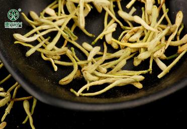 采摘金銀花，并不是采摘下來而已 - 中藥飲片代工