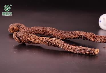 探訪長壽之鄉的秘密 - 滋補養生產品