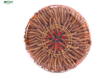 “東方瑰寶”冬蟲夏草，四個步驟教你辨別蟲草品質衛康旗下康氏中藥飲片西洋參、冬蟲夏草代工、定州、OEM