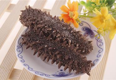 海味珍饈數(shù)海參！全家老少食遼參，即食縱享好滋味，康氏中藥飲片代工定制OEM