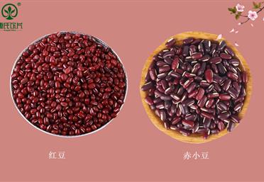 春夏食豆，勝過吃肉！赤小豆和紅豆真的不一樣，康氏中藥飲片代工定制OEM