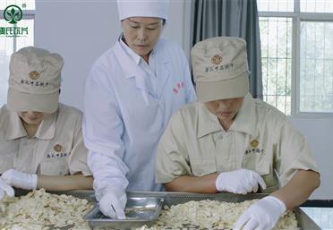 33年塑就品牌：河北康氏OEM，您值得信賴的合作伙伴