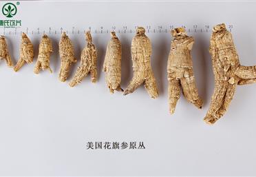 西洋參規(guī)格分類大全，這么分簡單又好記-康氏中藥飲片代工定制OEM-西洋參禮品定制