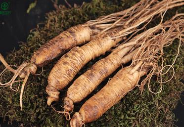 家庭自制人參水，不僅可以喝，還能護膚、養發-康氏中藥飲片代工定制OEM