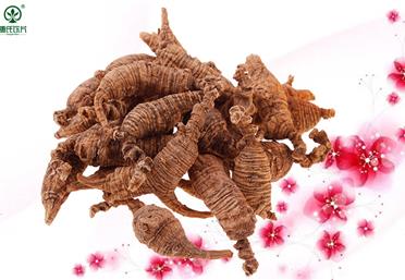 康氏中藥飲片告訴你野山參和野生西洋參在五形六體上的區別-中藥飲片代工定制OEM