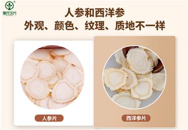人參和西洋參有什么區(qū)別？好多人都不清楚--康氏中藥飲片代工定制OEM